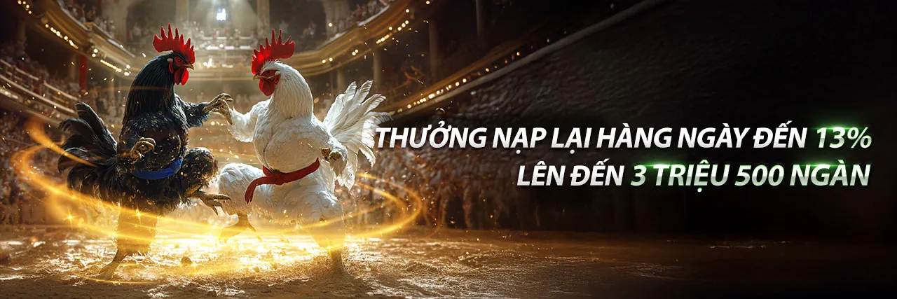 Hình nền đá gà trực tiếp
